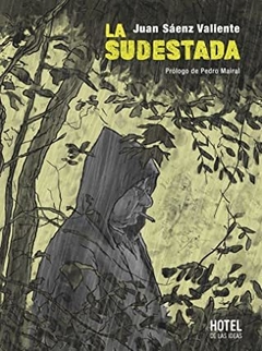 la sudestada, juan sáenz valiente