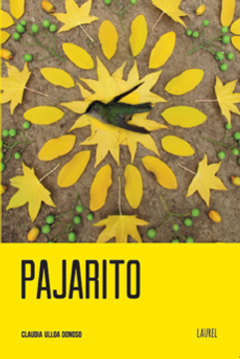 pajarito, claudia ulloa donoso