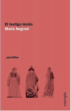 El testigo lúcido, María Negroni