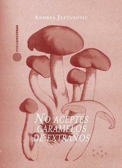 No aceptes caramelos de extraños, Andrea Jeftanovic