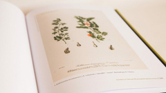 atlas de botánica argentina, carlos lois - comprar online