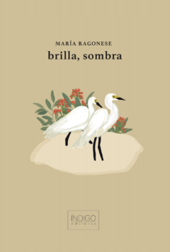 brilla, sombra, maría ragonese