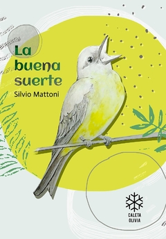 La buena suerte, Silvio Mattoni