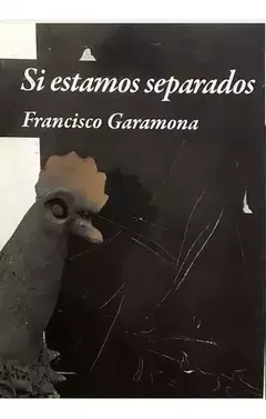 si estamos separados, francisco garamona