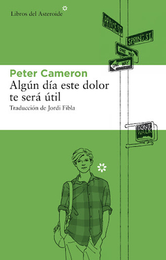 Algún día este dolor te sera útil, Peter Cameron