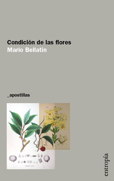 Condición de las flores, Mario Bellatín