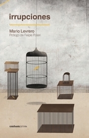 Irrupciones, Mario Levrero