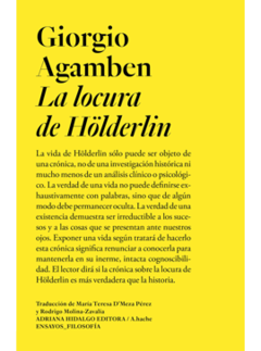 la locura de hölderlin, giorgio agamben