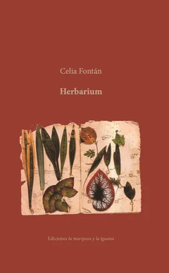 herbarium, celia fontán