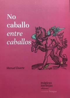 no caballo entre caballos, manuel duarte