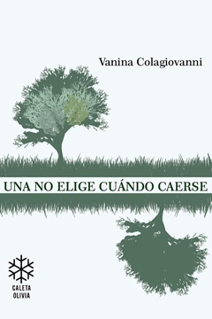 Una no elige cuándo caerse, Vanina Colagiovanni