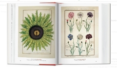 Obras maestras sobre botánica de la Biblioteca Nacional de Viena - Volcán Azul Libros