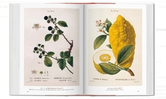 Obras maestras sobre botánica de la Biblioteca Nacional de Viena en internet