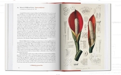 Obras maestras sobre botánica de la Biblioteca Nacional de Viena - comprar online