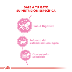 Alimento Royal Canin Kitten para Gatitos - tienda online