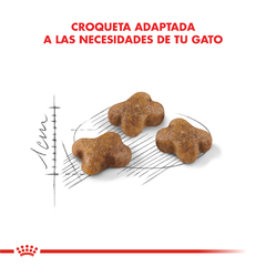 Alimento Royal Canin Indoor para Gatos Adultos - tienda online