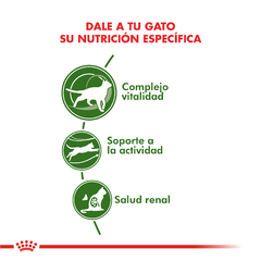 Alimento Royal Canin Active 7+ para Gatos Adultos - TotalPet