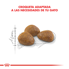 Alimento Royal Canin Active 7+ para Gatos Adultos - tienda online