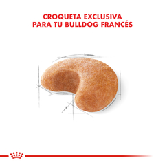 Alimento Royal Canin Bulldog Frances para Perros Adultos - TotalPet