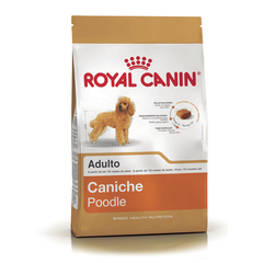 Alimento Royal Canin Caniche Adult para Perros Adultos en internet