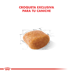 Imagen de Alimento Royal Canin Caniche Adult para Perros Adultos