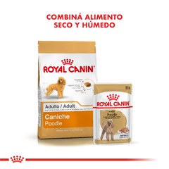 Alimento Royal Canin Caniche Adult para Perros Adultos