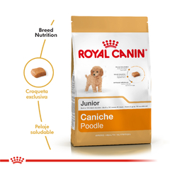 Alimento Royal Canin Caniche Junior para Perros Cachorros en internet