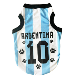 CAMISETA PASIÓN ARGENTINA - comprar online