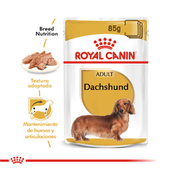 Alimento Royal Canin Dachshund Adult para Perros Adultos - comprar online