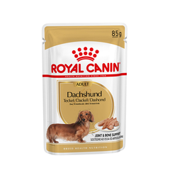 Alimento Royal Canin Dachshund Adult para Perros Adultos