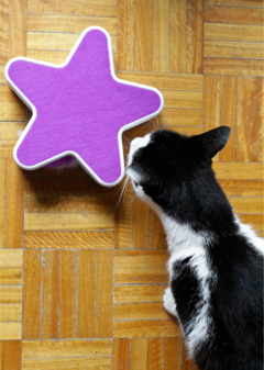 Juguete Gato Interactivo Estrella con Pluma a Batería