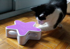Juguete Gato Interactivo Estrella con Pluma a Batería en internet