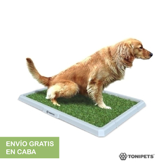 BANDEJAS SANITARIAS PARA PERRO HEMBRA