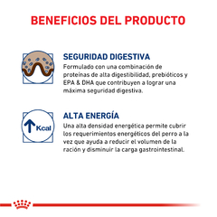 Alimento Royal Canin Gastrointestinal para Perros Adultos - comprar online