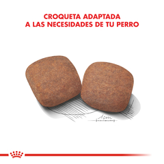 Alimento Royal Canin Giant para Perros Adultos Gigantes en internet