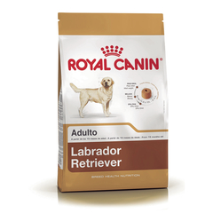 Alimento Royal Canin Labrador Retriever Adult para Perros Adultos