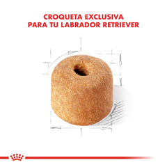 Alimento Royal Canin Labrador Retriever Adult para Perros Adultos en internet