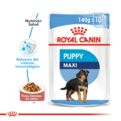 Alimento Royal Canin Maxi Puppy para Perros Cachorros Grandes - comprar online