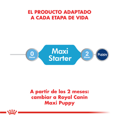 Alimento Royal Canin Starter Maxi para Perros Recien Nacidos Grandes - TotalPet