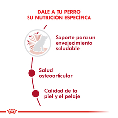 Alimento Royal Canin Medium Ageing 10+ para Perros Senior Medianos - TotalPet