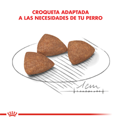 Alimento Royal Canin Mini Indoor para Perros de Interior Pequeños en internet