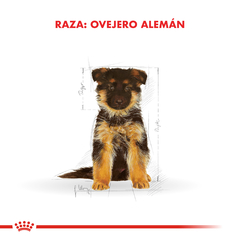Alimento Royal Canin Ovejero Aleman Junior para Perros Cachorros en internet