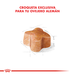 Alimento Royal Canin Ovejero Aleman Junior para Perros Cachorros - TotalPet