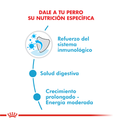 Alimento Royal Canin Maxi Puppy para Perros Cachorros Grandes - tienda online