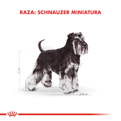 Alimento Royal Canin Schnauzer Miniature Adult para Perros Adultos - tienda online
