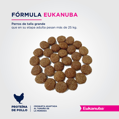 Alimento Eukanuba Senior Large Breed para Perros Adultos Grandes - comprar online