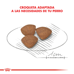 Alimento Royal Canin Starter Medium para Perros Recien Nacidos Medianos - TotalPet