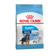 Alimento Royal Canin Maxi Puppy para Perros Cachorros Grandes