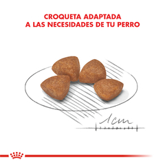 Alimento Royal Canin X-Small Junior para Perros Cachorros Muy Pequeños - comprar online