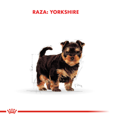 Alimento Royal Canin Yorkshire Junior para Perros Cachorros - TotalPet
